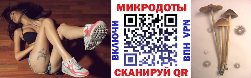 это официальный сайт  Катайск  Галлюциногенные грибы Psilocybe  купить  